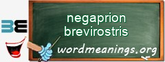 WordMeaning blackboard for negaprion brevirostris